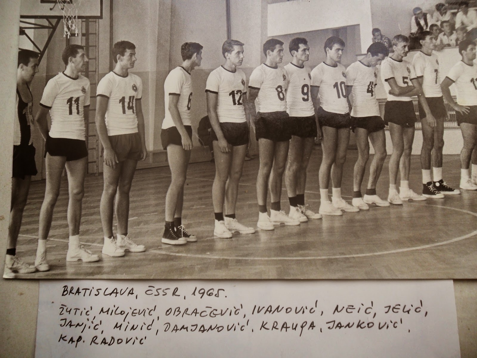 Ekipa KK Partizan iz 1965